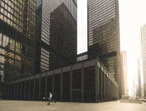 credit management software solutions